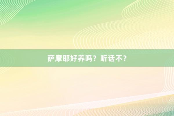 萨摩耶好养吗？听话不？