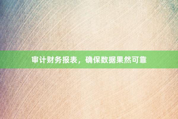 审计财务报表，确保数据果然可靠