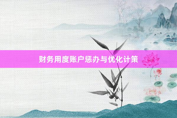 财务用度账户惩办与优化计策