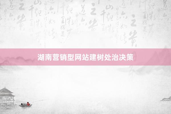 湖南营销型网站建树处治决策